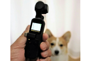 【ワンコとお出かけ Vol.31】スタビライザー付き小型カメラ「DJI Osmo Pocket」はワンコ撮影に向いている? 画像