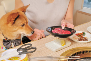 「うしすけ」がinterpetsに出展!「肉ケーキ」の予約受付も 画像