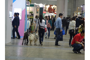 「インターペット2019」が今週末開催!注目イベントは? 画像
