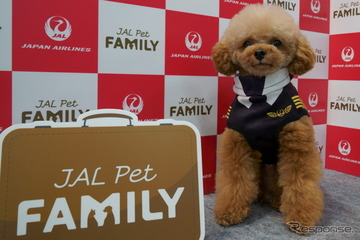 【Interpets(インターペット) 2019 Vol.11】「JALペットファミリー」が小動物も対象に! 画像
