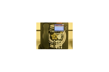 既存IP-PBXにとらわれないアバイアのUC戦略 画像
