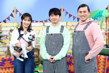 人気犬・まさお君が旅先で起こしたハプニングを厳選！今夜放送『どうぶつピース!!視聴者大感謝祭SP』 画像