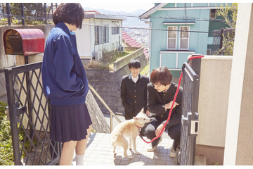 北村匠海&小松菜奈&吉沢亮が兄弟妹役演じる映画『さくら』場面写真解禁 画像