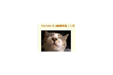 猫好き注目!YouTubeが猫動画特集! 画像