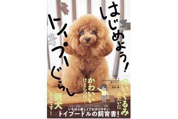 トイプードル飼育書『はじめよう!トイプーぐらし』発売!宇野樹宅の愛犬“トロちゃん”が表紙 画像