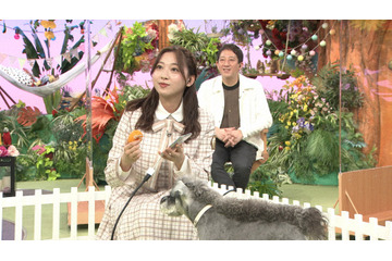 日向坂46・富田鈴花が犬写真バトル!松井愛莉と対決 画像