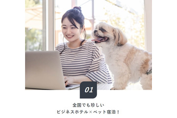 ビジネスホテルで愛犬と一緒に宿泊できるリーズナブルなプランが登場! 画像