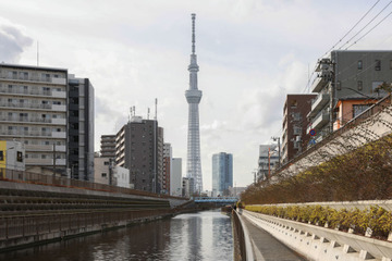 「ありがとう!TEAM JAPAN!」東京スカイツリー、北京冬季五輪の閉会式にあわせ特別ライティング 画像