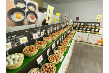 高級たまごバイキング店「幻の卵屋さん」がJR八王子駅に期間限定出店!駅名標が「八玉子駅」に?! 画像
