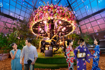 京成バラ園、珍しい夏バラの開花に合わせライトアップイベント開催! 画像