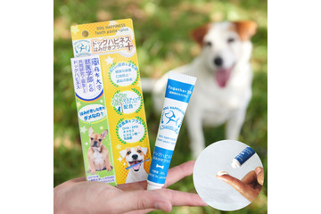 犬のオーラルケアの重要性を解説 「ドッグハピネス」公式サイトオープン 画像