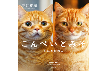 人気声優・花江夏樹が愛猫の姿を撮り下ろした写真集発売決定 画像