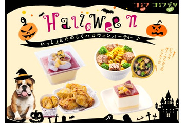 コミフから、愛犬と一緒にハロウィンを楽しむ「デリ&スイーツ」登場 画像