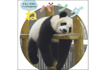 パンダの癒しの寝姿を集めた写真集『ねパンダ』が発売決定! 画像