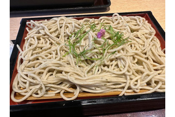 「紫蘇そば」の絶品セットメニュー!おかわりしたくなる「アジごはん」 画像