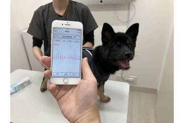犬・猫の症状を早期発見!家庭向け医療用生体モニター開発の共同研究がスタート 画像