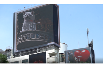 渋谷の大型ビジョンから巨大な秋田犬が飛び出す！？肉眼3D動画が公開に 画像