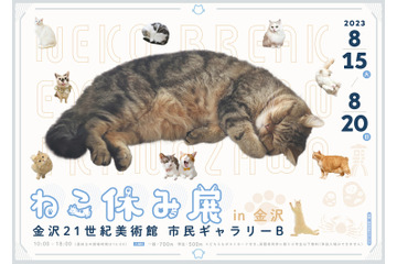 ねこの祭典「ねこ休み展」2年ぶり金沢上陸!金沢オリジナル&限定グッズも 画像