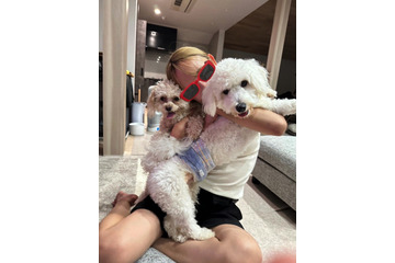 ノンスタ井上、愛犬たちの“しつけ”の悩み吐露&呼びかけ「奥さんと日々悩んでおります」 画像