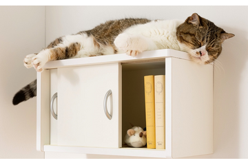 猫も人も快適!ディノス、「収納棚としても使えるキャットステップ」を改良&発売 画像