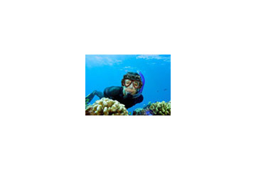 これで気分は魚? ハンファ・ジャパン、ハンズフリーで撮影可能な500万画素デジタルカメラ付き水中マスク 画像