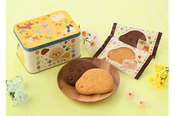 銀座コージーコーナー、癒し系ギフト「小犬サブレ」新発売 画像