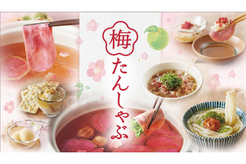 極み梅だしで味わう!しゃぶしゃぶ温野菜「梅たんしゃぶ食べ放題コース」期間限定販売 画像