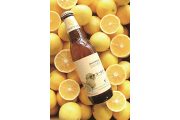 サンクトガーレン、オレンジ風味の爽やかフルーツビール「湘南ゴールド」春夏限定販売 画像