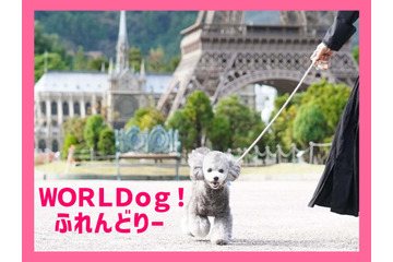 栃木・東武ワールドスクウェア、愛犬とリード入園できる「WORLDog！ふれんどりー」スタート 画像
