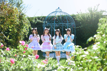 「TIF2024」出演者第1弾発表！「アイドル総選挙2023」で1位のAppare!、わーすたら全22組 画像
