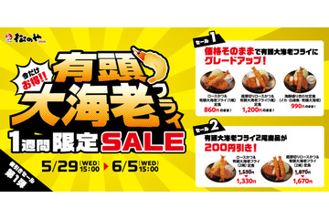 松のや「有頭大海老フライセール」開催！有頭“大”海老フライを“大”満足に味わえる1週間に 画像