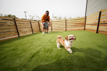 淡路島に小型犬と泊まれるサウナ付き貸別荘が誕生！オープン記念半額キャンペーン開催 画像