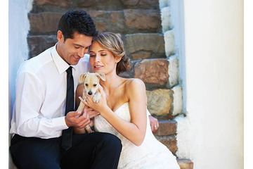 愛犬も一緒にウェディングフォト！フォレストヒルズ那須が新サービス開始、1組限定でモデルも募集中 画像