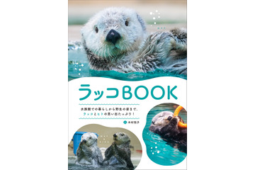 発売前からAmazon人気度ランキング1位に! ラッコの“すべて”がわかる『ラッコBOOK』7月発売 画像