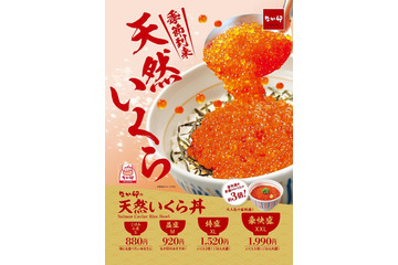 なか卯「天然いくら丼」今年も登場!SNSで話題だった“豪快盛”も再び 画像