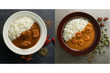 無印良品、焙煎スパイスカレー2種を新発売 画像
