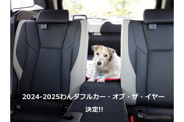 わんダフル カー・オブ・ザ・イヤー2024! 愛犬家と愛犬にとってベストな一台とは【青山尚暉のわんダフルカーライフ 最終回】 画像