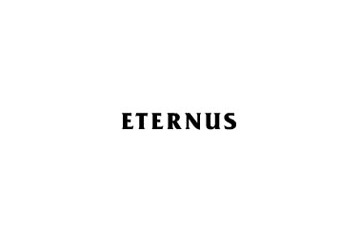 富士通、ストレージシステム「ETERNUS」ブランドを全世界で統一 画像