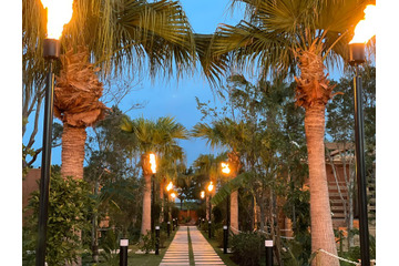 愛犬と泊まれるグランピングも！淡路島にハワイアンリゾート「Awaji Lanikai Square」3月オープン 画像