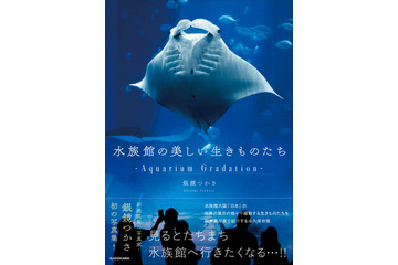 90種類以上の“生きものたち”を収録!「水族館の美しい生きものたち」写真集が好評発売中 画像