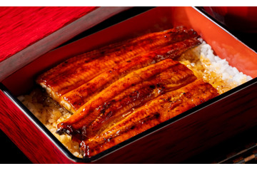 大戸屋、鹿児島県産うなぎ使用「国産鰻のうな重」土用の丑の日に合わせて限定販売！ 画像