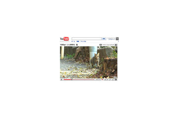 YouTube、4段階の画質で動画再生が可能に 画像