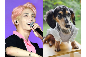 SHINee・ジョンヒョンさんの愛犬ルー、15歳で虹の橋を渡る。家族が報告「ずっと愛してる。もう会いたいよ…」 画像
