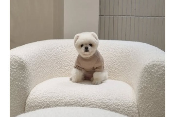 韓国の“SNSスター”が1年前にこの世を去っていた…空港の名誉広報大使務め、人気歌手のMVにも出演 画像