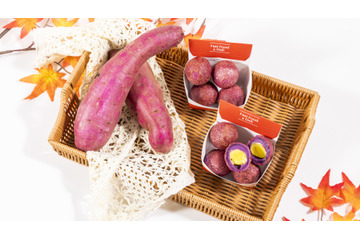 ファミリーマート、5年ぶりに“あたたかいスイーツ”復活！もちもち食感「おさつボール」が28日発売 画像