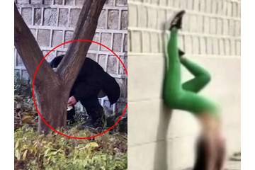 「最低限の礼儀守れ」ついに“排便”する姿まで　韓国の文化遺産一帯で外国人観光客の迷惑行為、大学教授が怒り 画像