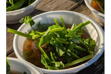 熱々のせり鍋2000人分を無料配布！宮城県名取市で「せり鍋まつり」が12月7日に開催 画像