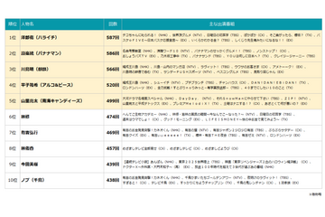 2025年最もTV番組に出演した芸能人は？ 画像
