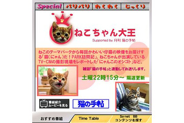 あのHITOEやかわいいねこちゃんの番組が登場!「So-net TV」7月の新番組 画像