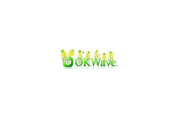 Facebookユーザ最大の悩みは“恋愛”? 〜 OKWave、「mixi」と「Facebook」を比較調査 画像